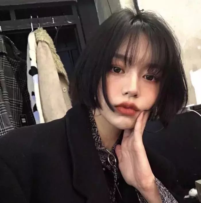 完美伴侣2025