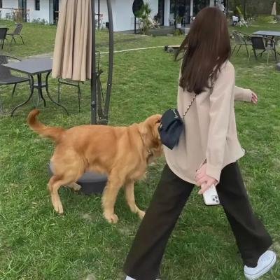 女孩画像